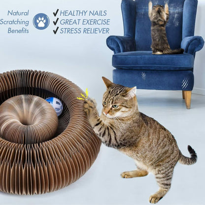 Magic Cat Scratching Board