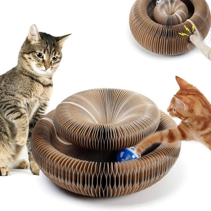 Magic Cat Scratching Board