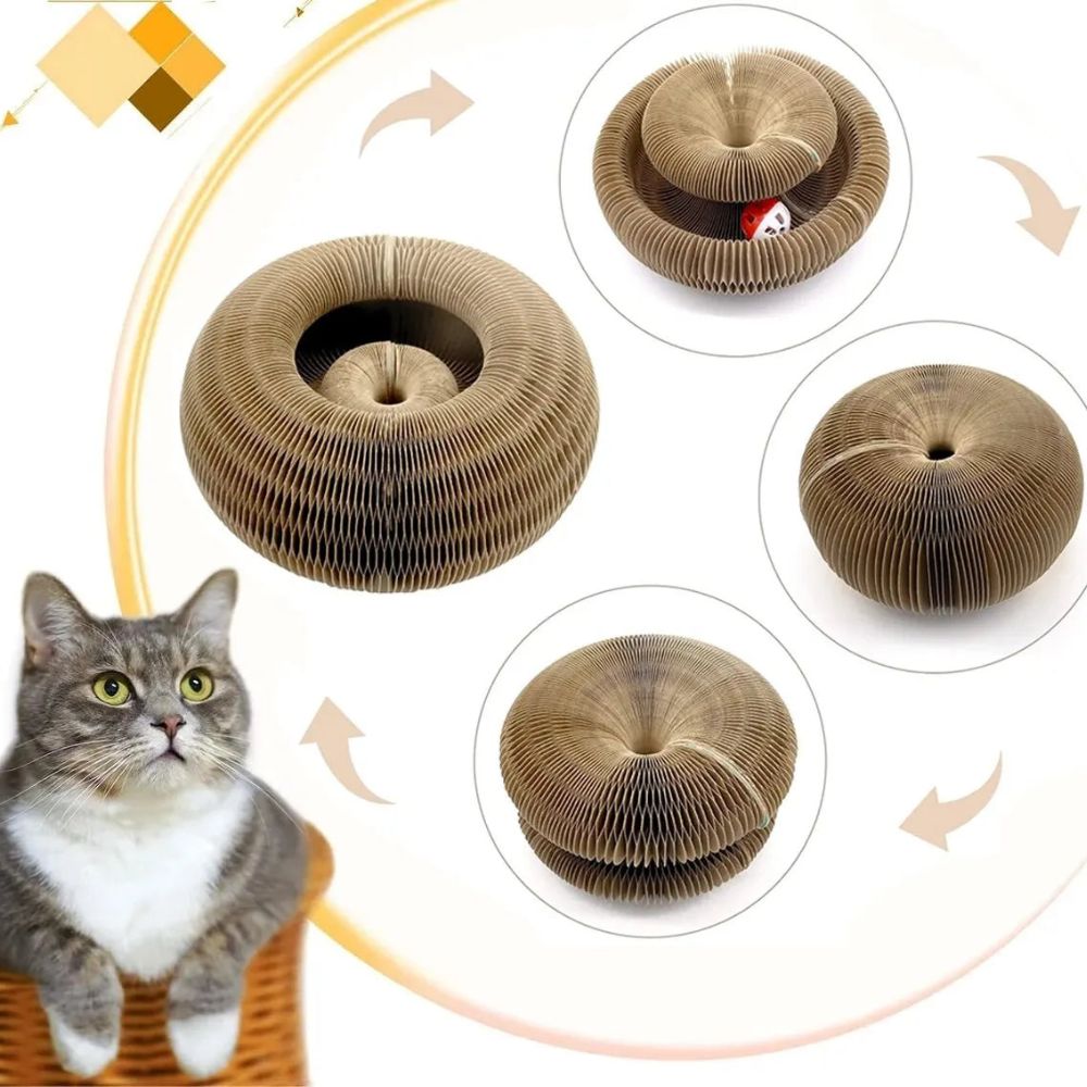 Magic Cat Scratching Board