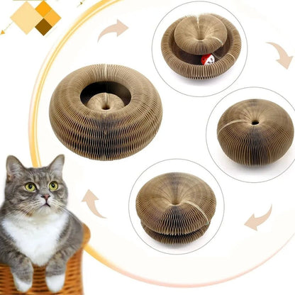 Magic Cat Scratching Board