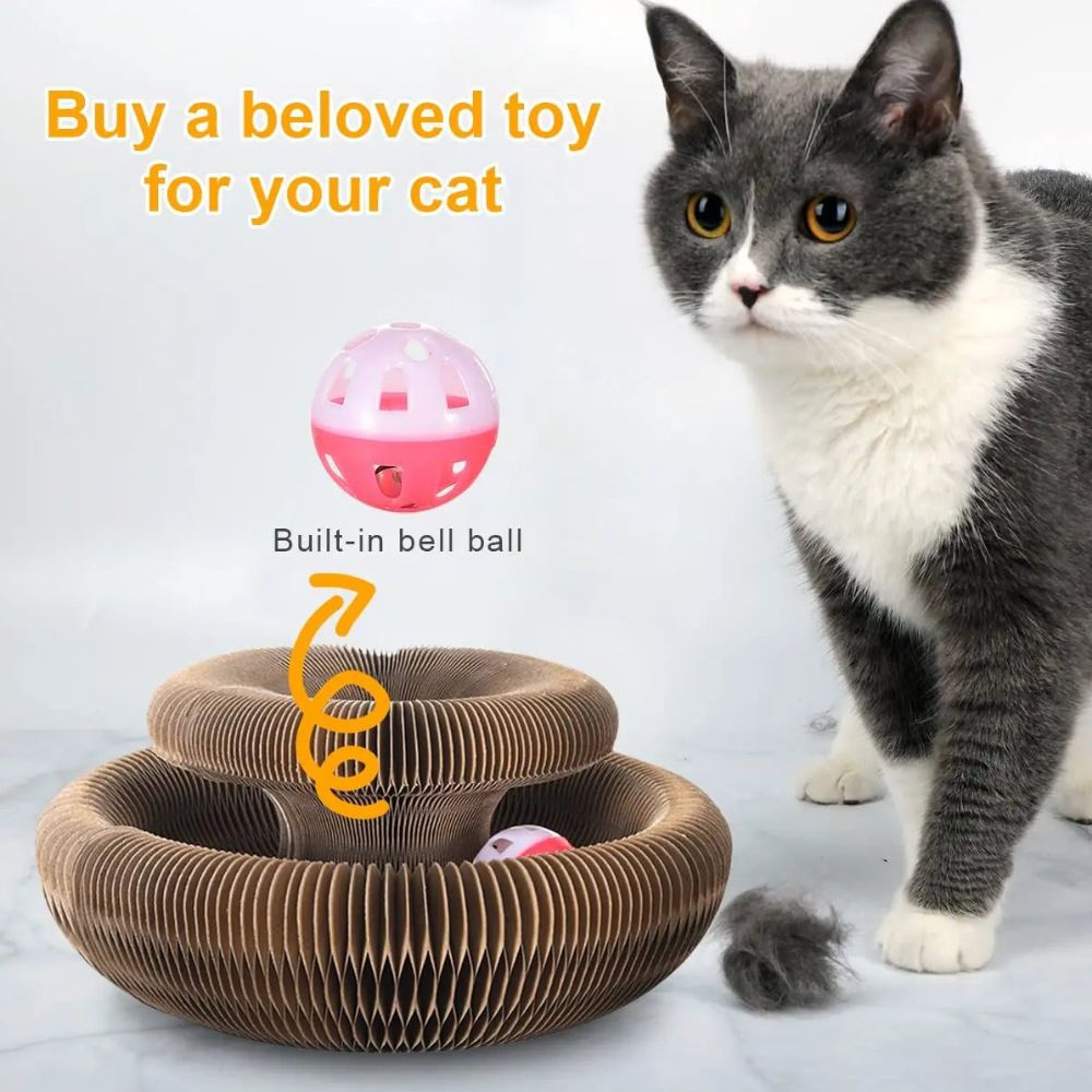 Magic Cat Scratching Board